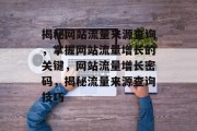 揭秘网站流量来源查询，掌握网站流量增长的关键，网站流量增长密码，揭秘流量来源查询技巧