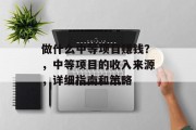 做什么中等项目赚钱?,中等项目的收入来源,详细指南和策略 做什么中等项目赚钱?,中等项目的收入来源,详细指南和策略