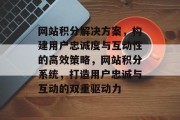 网站积分解决方案，构建用户忠诚度与互动性的高效策略，网站积分系统，打造用户忠诚与互动的双重驱动力