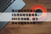 独立网站如何通过SNS引流实现流量爆发，SNS引流秘籍，独立网站流量爆发攻略