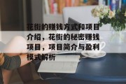 花街的赚钱方式和项目介绍,花街的秘密赚钱项目,项目简介与盈利模式解析 花街的赚钱方式和项目介绍,花街的秘密赚钱项目,项目简介与盈利模式解析