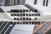 网站IP流量统计，揭秘网站流量背后的秘密，网站流量揭秘，IP统计揭示网络流量秘密