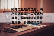 网站流量收费之谜，揭秘网站流量计费模式与真相，揭秘网站流量收费内幕，计费模式与真实面纱