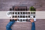 做什么数据赚钱？数据行业未来发展趋势分析，洞察大数据市场，未来趋势与盈利模式