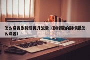 怎么设置副标题提升流量（副标题的副标题怎么设置）