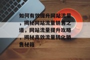 如何有效提升网站流量，揭秘网站流量销售之道，网站流量提升攻略，揭秘高效流量转化销售秘籍