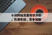 小说网站流量现状分析,热潮依旧,竞争加剧 小说网站流量现状分析,热潮依旧,竞争加剧