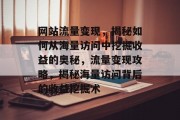 网站流量变现，揭秘如何从海量访问中挖掘收益的奥秘，流量变现攻略，揭秘海量访问背后的收益挖掘术