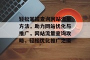 轻松掌握查询网站流量方法，助力网站优化与推广，网站流量查询攻略，轻松优化推广之道