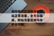 如何有效监测和分析网站正常流量，全方位指南，网站流量监测与分析全攻略