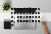 如何查网站流量，全方位解析网站流量查询方法，网站流量查询全攻略，全方位解析查询方法