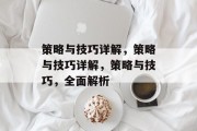 策略与技巧详解，策略与技巧详解，策略与技巧，全面解析