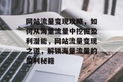网站流量变现攻略，如何从海量流量中挖掘盈利潜能，网站流量变现之道，解锁海量流量的盈利秘籍