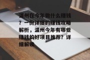 温州在今年做什么赚钱?一份详细的赚钱攻略解析,温州今年有哪些赚钱的好项目推荐?详细解读