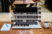 探索网站播放视频插件,提升用户体验的关键,了解和利用网站播放视频插件,提升用户体验的关键策略 探索网站播放视频插件,提升用户体验的关键,了解和利用网站播放视频插件,提升用户体验的关键策略