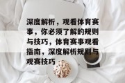 深度解析，观看体育赛事，你必须了解的规则与技巧，体育赛事观看指南，深度解析规则与观赛技巧