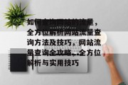 如何查询网站的流量，全方位解析网站流量查询方法及技巧，网站流量查询全攻略，全方位解析与实用技巧