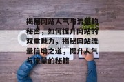 揭秘网站人气与流量的秘密，如何提升网站的双重魅力，揭秘网站流量倍增之道，提升人气与流量的秘籍