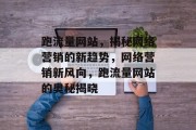跑流量网站，揭秘网络营销的新趋势，网络营销新风向，跑流量网站的奥秘揭晓