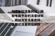 淘宝体验流量网站，揭秘电商平台的流量秘密，揭秘淘宝流量密码，体验式流量网站解析