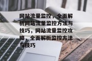 网站流量监控，全面解析网站流量监控方法与技巧，网站流量监控攻略，全面解析监控方法与技巧