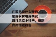 在蒙阴做什么赚钱?,蒙阴农村电商扶贫,一网打尽家乡特产,带动农民增收致富 在蒙阴做什么赚钱?,蒙阴农村电商扶贫,一网打尽家乡特产,带动农民增收致富