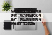 轻松掌握查询网站流量步骤，助力网站优化与推广，网站流量查询与优化推广实战指南