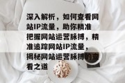 深入解析，如何查看网站IP流量，助你精准把握网站运营脉搏，精准追踪网站IP流量，揭秘网站运营脉搏的查看之道