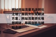 揭秘网站流量无法转化之谜，原因分析及解决方案，网站流量转化难题揭秘，原因剖析与破解之道