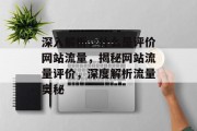 深入解析，什么是评价网站流量，揭秘网站流量评价，深度解析流量奥秘