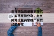 南京网站流量商家推广，实战经验分享，南京网站流量商家推广实战经验分享