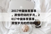2017中国体育赛事，激情燃烧的岁月，2017中国体育赛事，激情岁月的燃烧瞬间