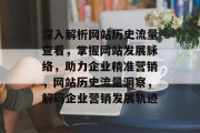 深入解析网站历史流量查看，掌握网站发展脉络，助力企业精准营销，网站历史流量洞察，解码企业营销发展轨迹