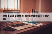 提升土豆流量的办法（怎样才能提高土豆的产量）