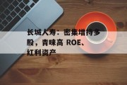 长城人寿:密集增持多股,青睐高 ROE、红利资产 长城人寿:密集增持多股,青睐高 ROE、红利资产