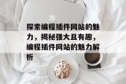 探索编程插件网站的魅力,揭秘强大且有趣,编程插件网站的魅力解析 探索编程插件网站的魅力,揭秘强大且有趣,编程插件网站的魅力解析