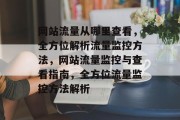 网站流量从哪里查看，全方位解析流量监控方法，网站流量监控与查看指南，全方位流量监控方法解析