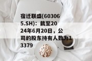 宿迁联盛(603065.SH):截至2024年6月20日,公司的股东持有人数为13379 宿迁联盛(603065.SH):截至2024年6月20日,公司的股东持有人数为13379