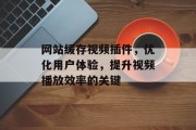 网站缓存视频插件,优化用户体验,提升视频播放效率的关键 网站缓存视频插件,优化用户体验,提升视频播放效率的关键