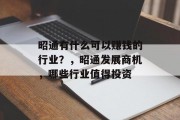 昭通有什么可以赚钱的行业?,昭通发展商机,哪些行业值得投资