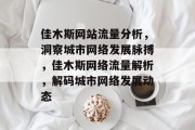 佳木斯网站流量分析，洞察城市网络发展脉搏，佳木斯网络流量解析，解码城市网络发展动态