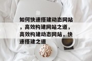 如何快速搭建动态网站，高效构建网站之道，高效构建动态网站，快速搭建之道