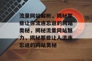 流量网站解析，揭秘那些让你流连忘返的网站奥秘，揭秘流量网站魅力，揭秘那些让人流连忘返的网站奥秘