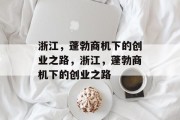 浙江，蓬勃商机下的创业之路，浙江，蓬勃商机下的创业之路