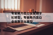 专业助力出口企业数字化转型，专业助力出口企业数字化转型