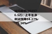 瑞玛精密(002976.SZ):上半年净利润预降84.27%-89.34% 瑞玛精密(002976.SZ):上半年净利润预降84.27%-89.34%