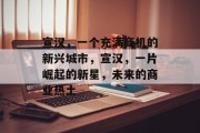 宣汉,一个充满商机的新兴城市,宣汉,一片崛起的新星,未来的商业热土