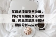 某网站流量突然激增，揭秘背后原因及应对策略，网站流量激增揭秘，原因分析与应对攻略