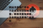 网站流量推广平台，助力企业高效获取精准流量，精准流量加速器，企业网站流量推广新平台