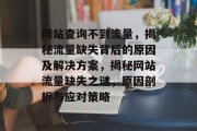网站查询不到流量，揭秘流量缺失背后的原因及解决方案，揭秘网站流量缺失之谜，原因剖析与应对策略